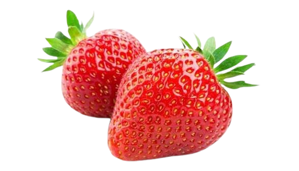 Fundas de Frutilla x libras 